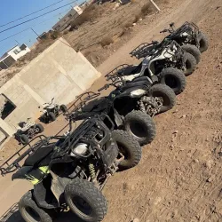 Rosarito Canyon Adventures - Rosarito