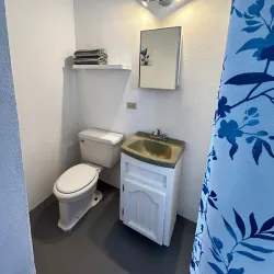 Rosarito Sea Lion Colony - Rosarito