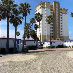 Rosarito Sea Lion Colony - Rosarito