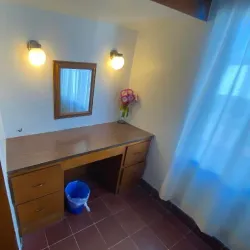 Rosarito Sea Lion Colony - Rosarito