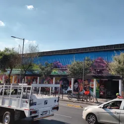 Mercado Juárez - Salamanca