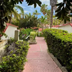 Buena Vista Beach - San Carlos