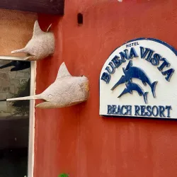 Buena Vista Beach - San Carlos