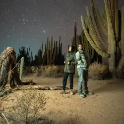Cactus Forest and Desert Trails - San Carlos