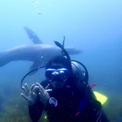 Diving and Snorkeling Sites - San Carlos