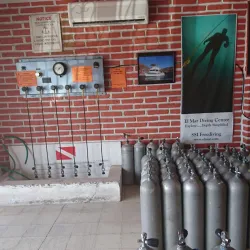 Diving and Snorkeling Sites - San Carlos