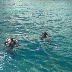 Isla San Pedro Nolasco - San Carlos