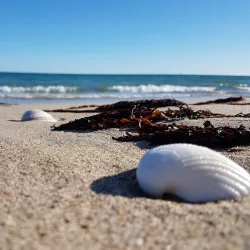 San Carlos Beaches - San Carlos