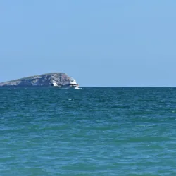 San Carlos Beaches - San Carlos