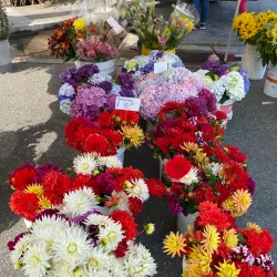San Carlos Farmers Market - San Carlos