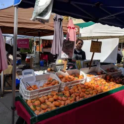 San Carlos Farmers Market - San Carlos