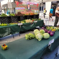San Carlos Farmers Market - San Carlos