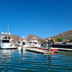 San Carlos Marina - San Carlos