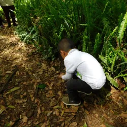 Casa Na Bolom - San Cristobal de las Casas
