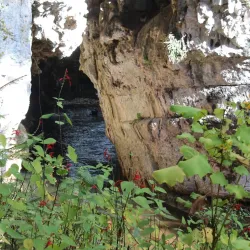 El Arcotete - San Cristobal de las Casas