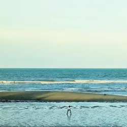 San Felipe Beaches - San Felipe