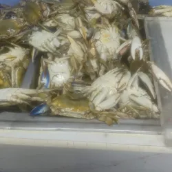 San Felipe Fish Market - San Felipe