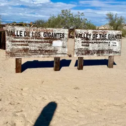 Valle de los Gigantes - San Felipe