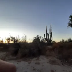 Valle de los Gigantes - San Felipe