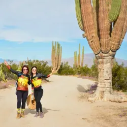 Valle de los Gigantes - San Felipe