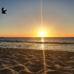 Costa Azul Beach - San José del Cabo