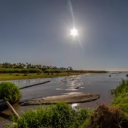 Estero San José - San José del Cabo