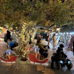 San José del Cabo Art District - San José del Cabo