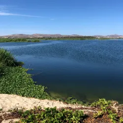 San José del Cabo Estuary - San José del Cabo