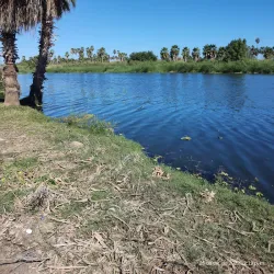 San José Estuary and Bird Sanctuary - San José del Cabo