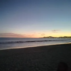 San José Estuary and Bird Sanctuary - San José del Cabo