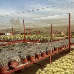 Wirikuta Botanical Park - San José del Cabo