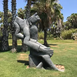 Wirikuta Botanical Park - San José del Cabo