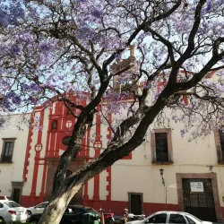 Jardín de San Francisco - San Luis Potosi