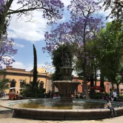 Jardín de San Francisco - San Luis Potosi