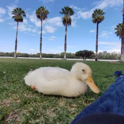 Parque Tangamanga I - San Luis Potosi