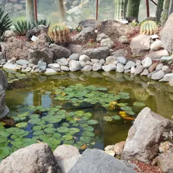 El Charco del Ingenio Botanical Garden - San Miguel de Allende