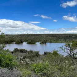 El Charco del Ingenio Botanical Garden - San Miguel de Allende