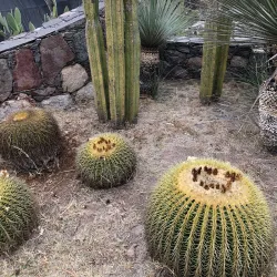 El Charco del Ingenio Botanical Garden - San Miguel de Allende