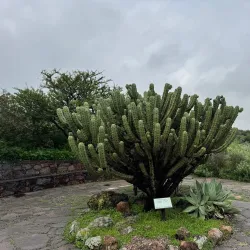 El Charco del Ingenio Botanical Garden - San Miguel de Allende