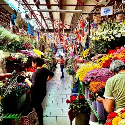 Mercado de Artesanías - San Miguel de Allende