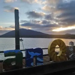 Bahía de San Quintín National Park - San Quintín
