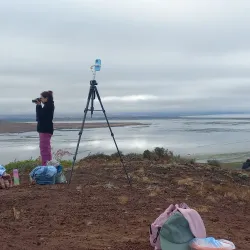 Bird Watching Tours - San Quintín