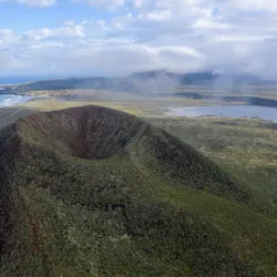 Bird Watching Tours - San Quintín