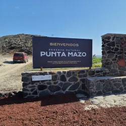 Bird Watching Tours - San Quintín