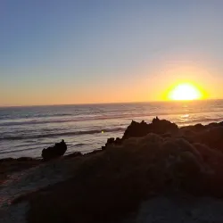 Bird Watching Tours - San Quintín