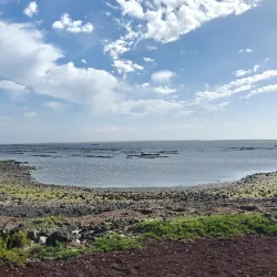 Local Seafood Markets - San Quintín
