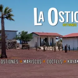 Local Seafood Markets - San Quintín