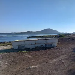 Local Seafood Markets - San Quintín