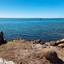 Local Seafood Markets - San Quintín