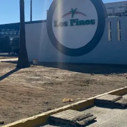 San Quintín Agricultural Fields - San Quintín